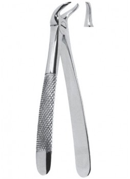 Extracting Forceps